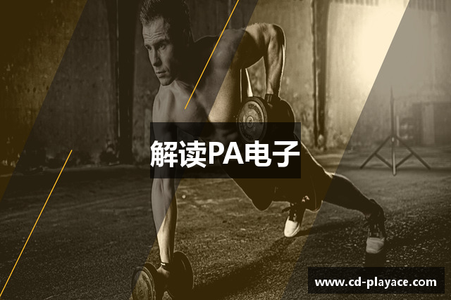 解读PA电子